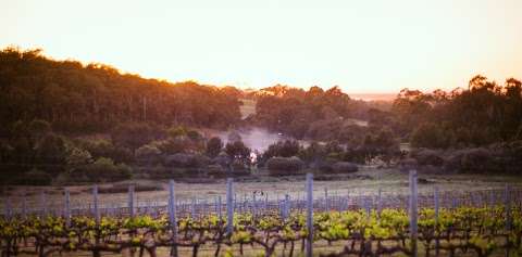 Photo: Rivendell Winery Estate